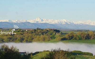 autour de La Belle Verte