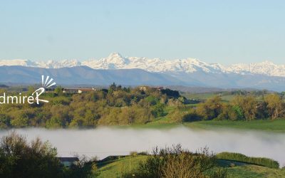 Pamiers autour de La Belle Verte