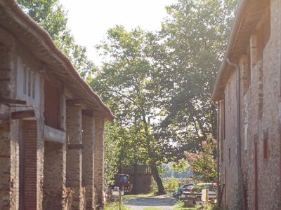 La ferme Ferme la Belle Verte canoë