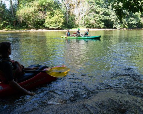 Canoe avec guide