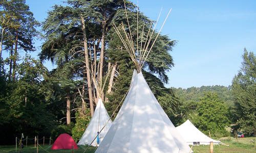 Tipi sous les grands arbres Nuit sous tipi