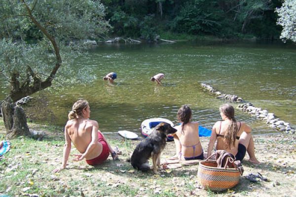 pique nique a la plage Plage et aire de pique nique