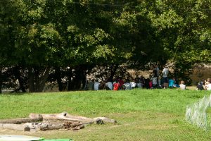 site (3) site (3)