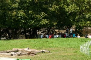 site (3) site (3)